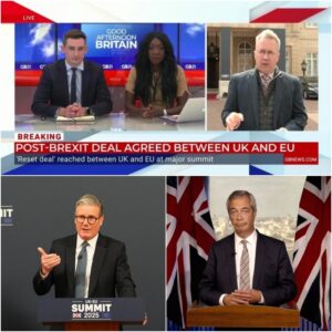 ‘Bitter and sad!’ Reform UK told to IGNORE Labour’s EU reset – because it’s ‘not 2016 any more’