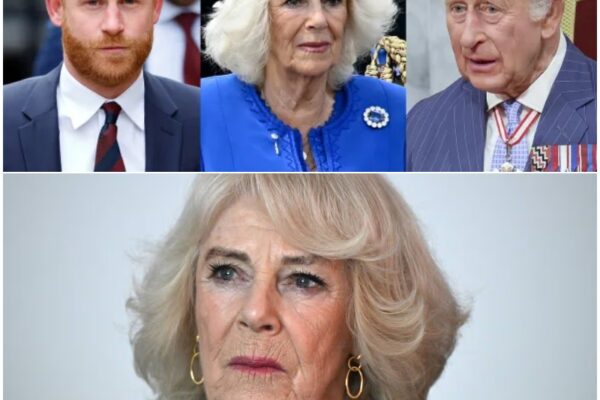 “UNBELIEVABLE!”: Real reason Queen Camilla was with King C...