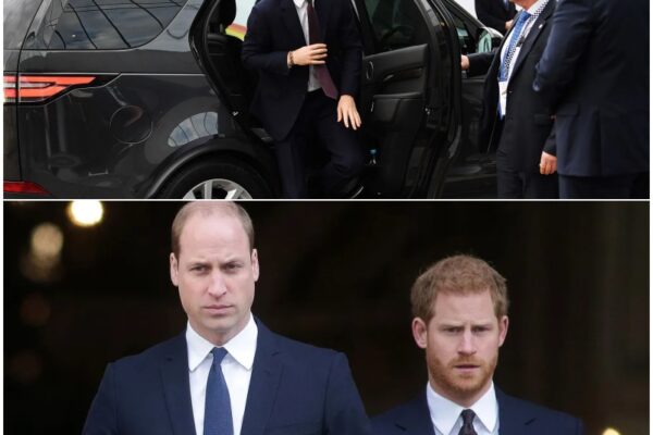 “SO TIRED OF THIS FARCE”: -Prince Harry and Meghan savaged...