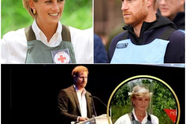 ‘Enough Is Enough!’ Prince Harry Faces New Backlash After ...