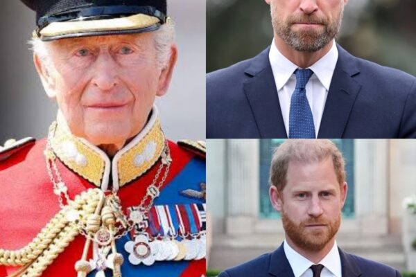 B0MBSHELL: King Charles and Prince William must avoid 1 ‘disastr...