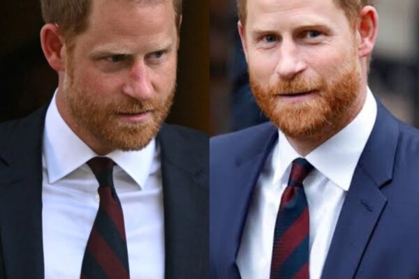 ‘I was not a campaigner’– Prince Harry’s fellow Dail...