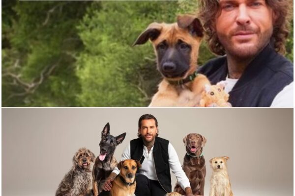 “It’s official – we are back!”: Pete Wicks Returns With Hi...