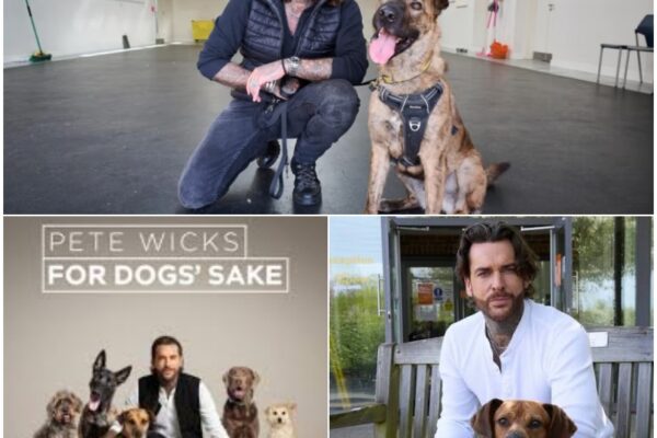 “This Is Our Most Emotional Journey Yet” – Pete Wicks Unve...