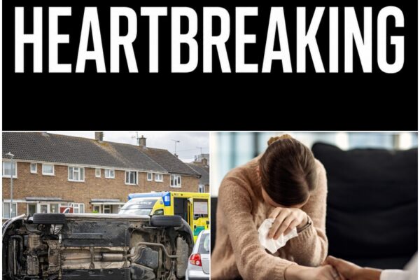 HEARTBROKEN: Beloved Film Star Dies in Devastating Accident Just Days ...