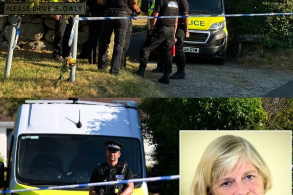 EXCLUSIVE: P0lice issue new update on motive behind Ann Widdecombe 𝐤𝐢𝐥...