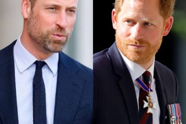 SHOCK: Prince William’s ‘absolute contempt’ towards Prince Harry amid ...