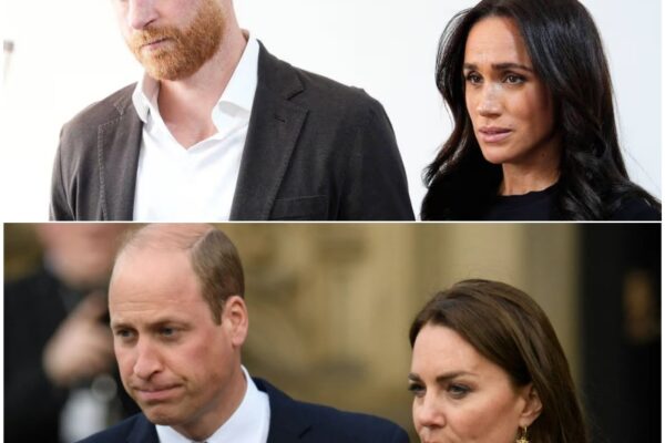 EXCLUSIVE: Prince Harry and Meghan Markle ‘plotting to make life...