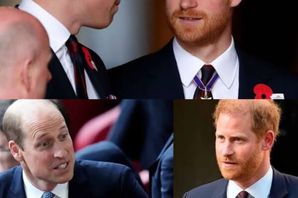 BREAKING NEWS: Harry and William’s two-word advice to solve rift...