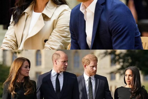 Harry and Meghan’s relationship status with William confirmed by...