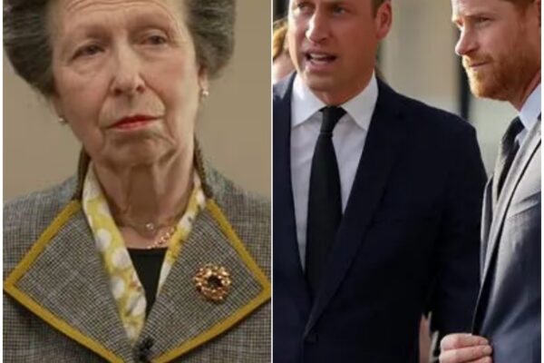 EXCLUSIVE: Princess Anne ‘issues 8-word warning’ to Prince...