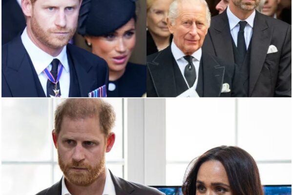 “It was a family decision”: Prince Harry, Meghan hit back ...