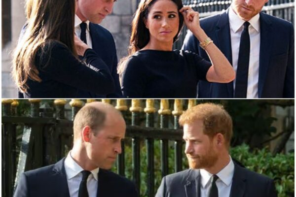 BREAKING NEWS: Prince William, Kate ‘concerned’ about Harr...