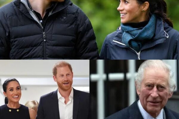 Harry And Meghan Have Made Their First Plea To King Charles And What T...