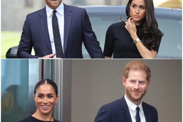 Bombshell: Fox News viewers mock ‘unemployed’ Prince Harry...