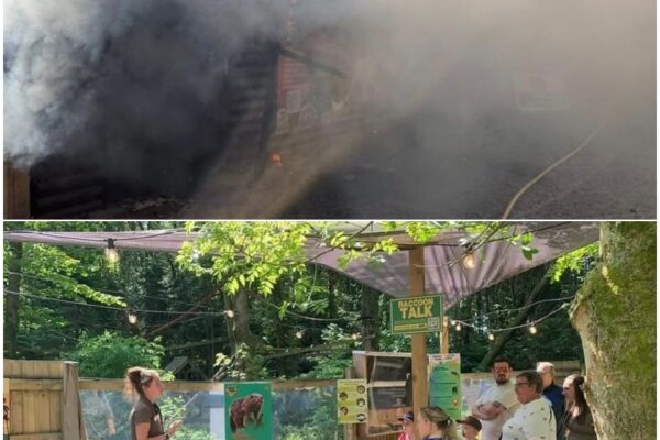 SAD NEWS: UK Zoo Forced to Close as Fire Erupts – Update Issued on the...