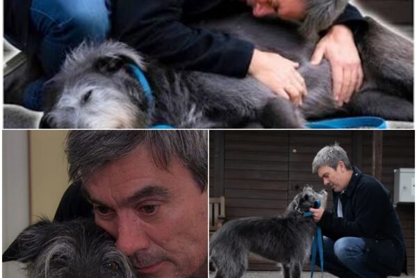 SAD NEWS: Emmerdale’s Cain breaks down in emotional tribute to Z...