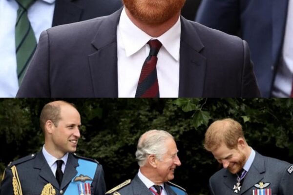 BREAKING: Harry’s redemption plan includes tea with King and ...