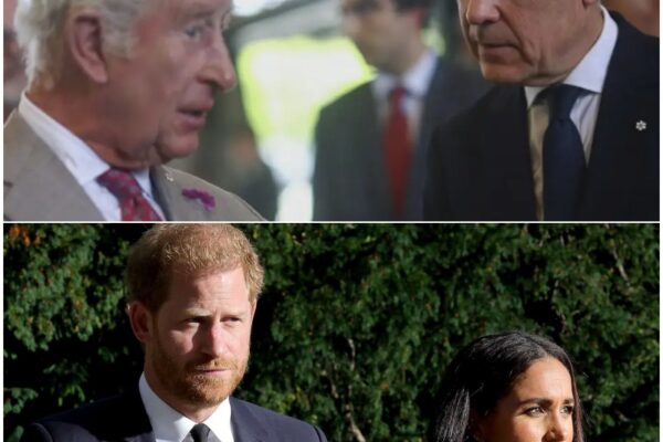 BREAKING NEWS: King Charles makes major move after fresh Harry, Meghan...
