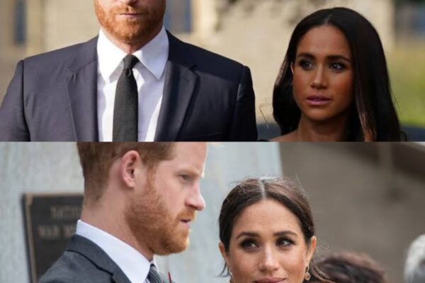 BOMBSHELL: Prince Harry and Meghan Markle keeping ‘secret dossie...