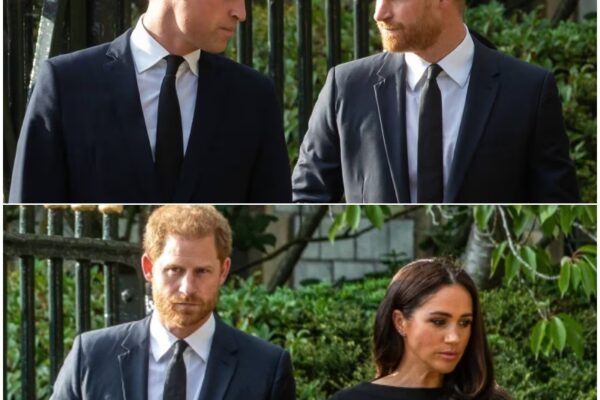 BREAKING NEWS: ‘Blindsided’ Prince William ‘apoplect...