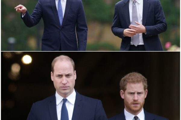 BREAKING NEWS: Prince Harry’s reunion with William blocked by on...