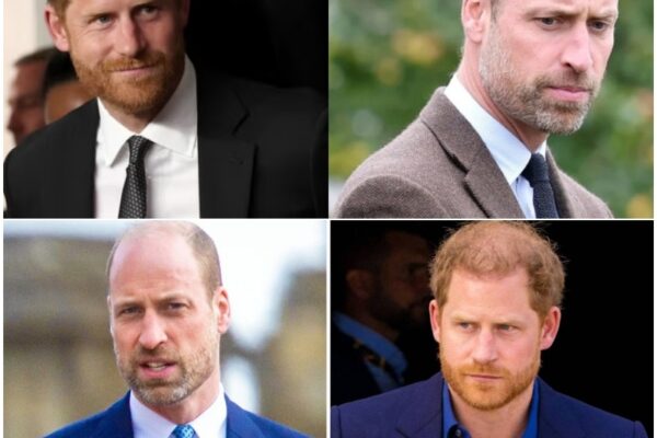 BREAKING NEWS: Prince Harry kicks off work on ‘secret project...