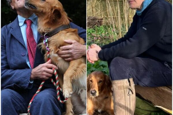 SAD NEWS: Gardeners’ World’s Monty Don ‘accostedR...